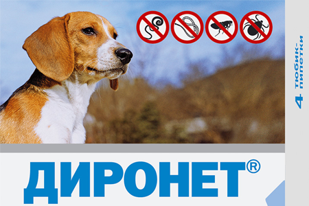 2633241490_QbP3NOEF_3b0a9ba2b0e19cf0f69310afb6120d5822ddb490.png